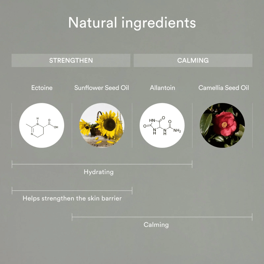 Bilden visar naturliga ingredienser som stärker och lugnar huden: Ectoin och solrosfröolja hjälper till att återfukta och stärka hudbarriären, medan allantoin och kameliafröolja lugnar och skyddar känslig hud.