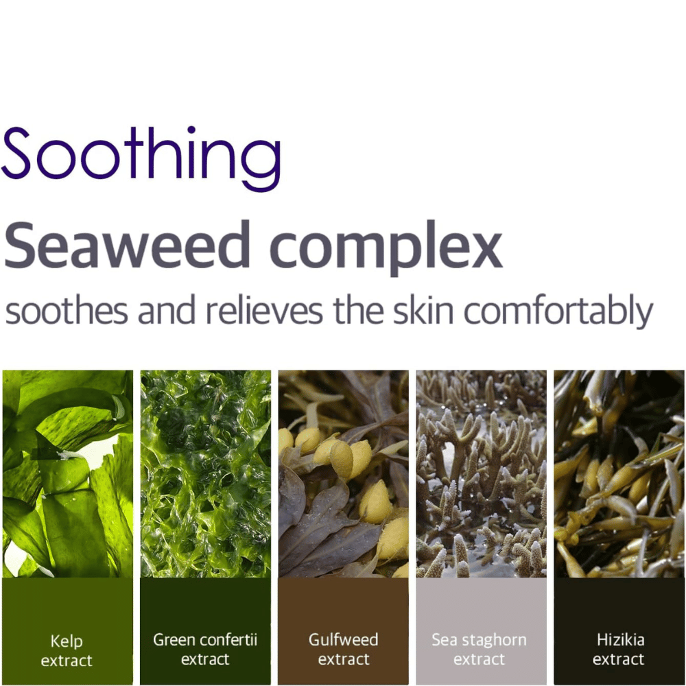 Ενημερωτική εικόνα για το Seaweed Complex με διάφορα φύκια και θαλάσσια εκχυλίσματα που βοηθούν να καταπραΰνουν, να δροσίζουν και να προσφέρουν άνεση στην επιδερμίδα γύρω από τα μάτια.