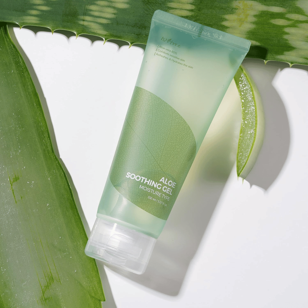 Isntree Aloe Soothing Gel Moisture Type – ενυδατική γέλη με 80 % aloe vera, φωτογραφημένη με φρέσκα φύλλα αλόης