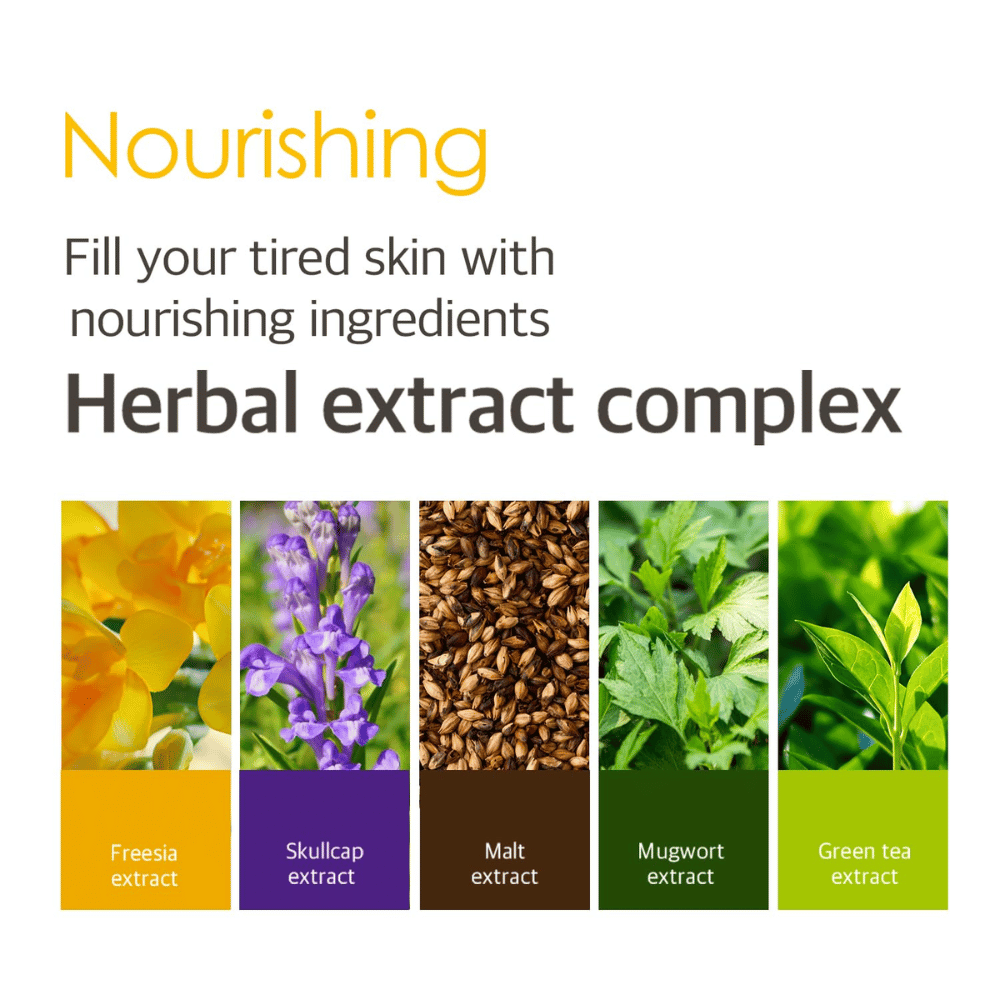 Ενημερωτική εικόνα για το Herbal Extract Complex με φυτικά εκχυλίσματα από, μεταξύ άλλων, φρέζια, skullcap, βύνη, mugwort και πράσινο τσάι, που βοηθούν να προσφέρουν θρέψη και φροντίδα στην κουρασμένη επιδερμίδα.
