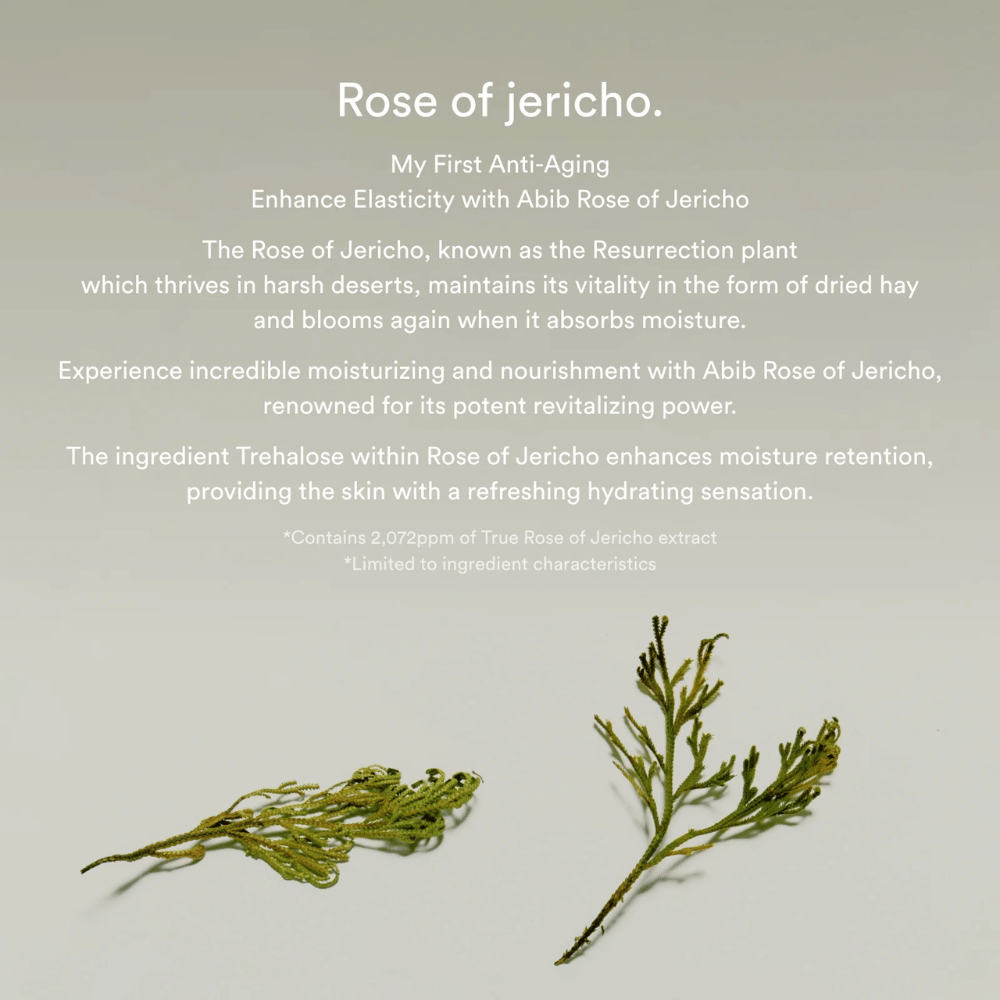 Ενημερωτική εικόνα για το εκχύλισμα Rose of Jericho που περιγράφει τις ενυδατικές και αναζωογονητικές ιδιότητες του φυτού για το δέρμα.