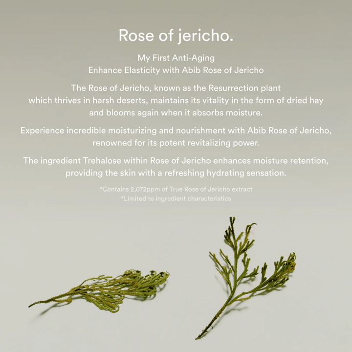 Ενημερωτική εικόνα για το εκχύλισμα Rose of Jericho που περιγράφει τις ενυδατικές και αναζωογονητικές ιδιότητες του φυτού για το δέρμα.