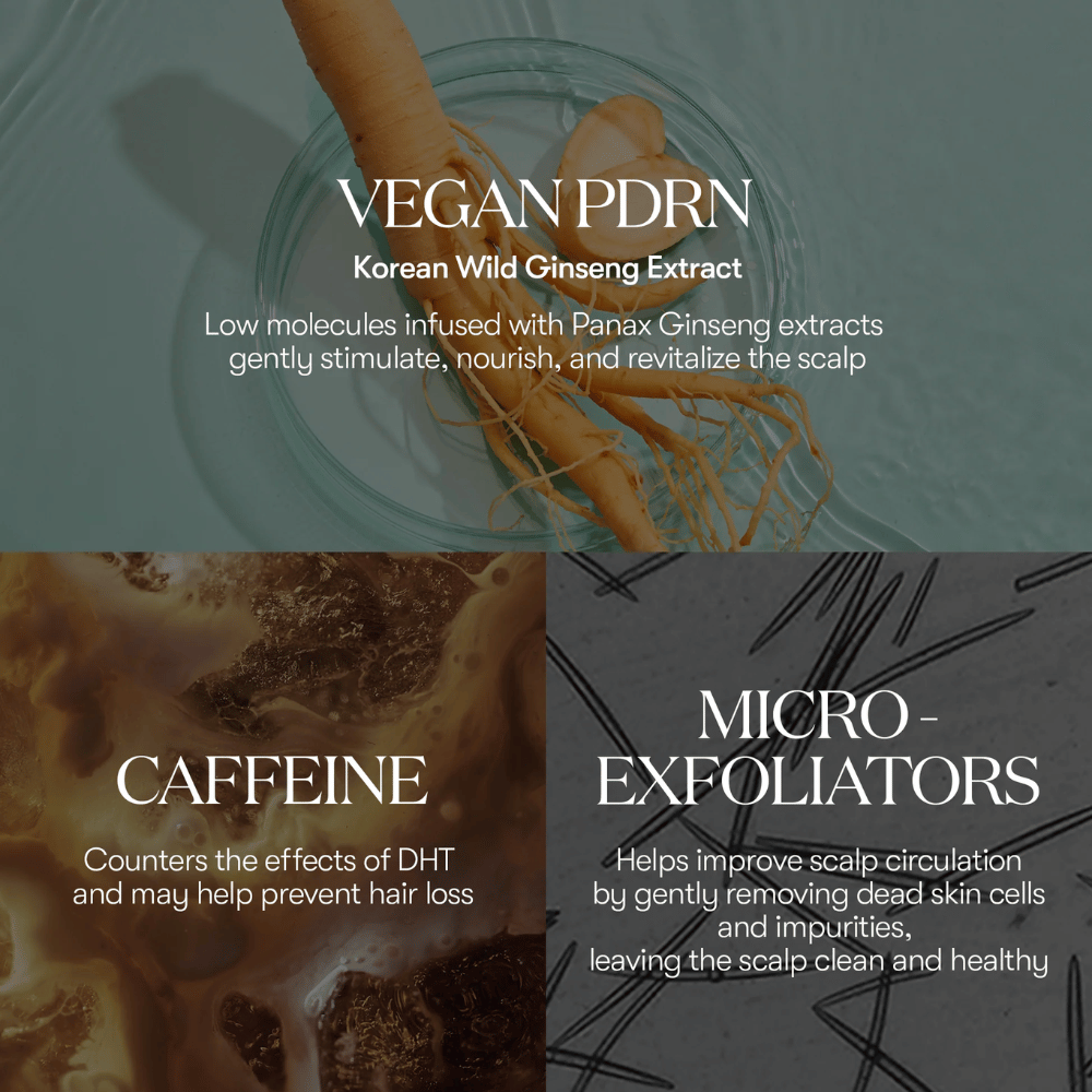 Εικονογράφηση των ενεργών συστατικών στο PDRN Reedle Shot Hair Ampoule 100dL με βίγκαν PDRN από κορεατικό άγριο τζίνσενγκ, καφεΐνη και μικρο-απολεπιστικά που φροντίζουν και αναζωογονούν το τριχωτό της κεφαλής.