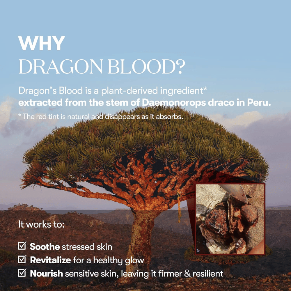 Εικονογράφηση του δέντρου Dragon’s Blood (Daemonorops draco) στο Περού, συστατικό στο VT Red Booster Reedle Shot 100 που καταπραΰνει το στρεσαρισμένο δέρμα, ενισχύει το φράγμα του δέρματος και προσφέρει μια υγιή λάμψη.