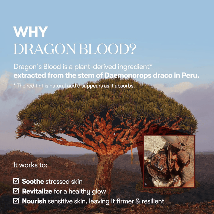 Εικονογράφηση του δέντρου Dragon’s Blood (Daemonorops draco) στο Περού, συστατικό στο VT Red Booster Reedle Shot 100 που καταπραΰνει το στρεσαρισμένο δέρμα, ενισχύει το φράγμα του δέρματος και προσφέρει μια υγιή λάμψη.